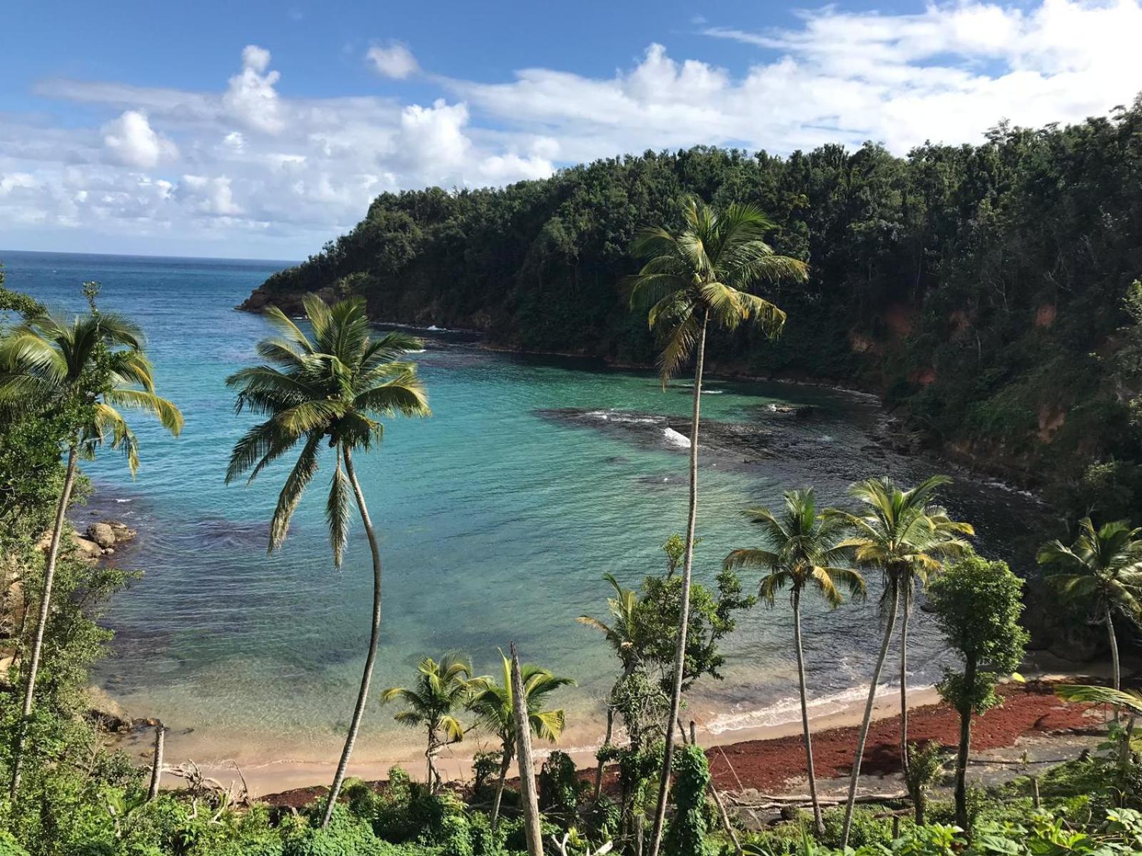 Italian Guesthouse Gros-Islet Buitenkant foto